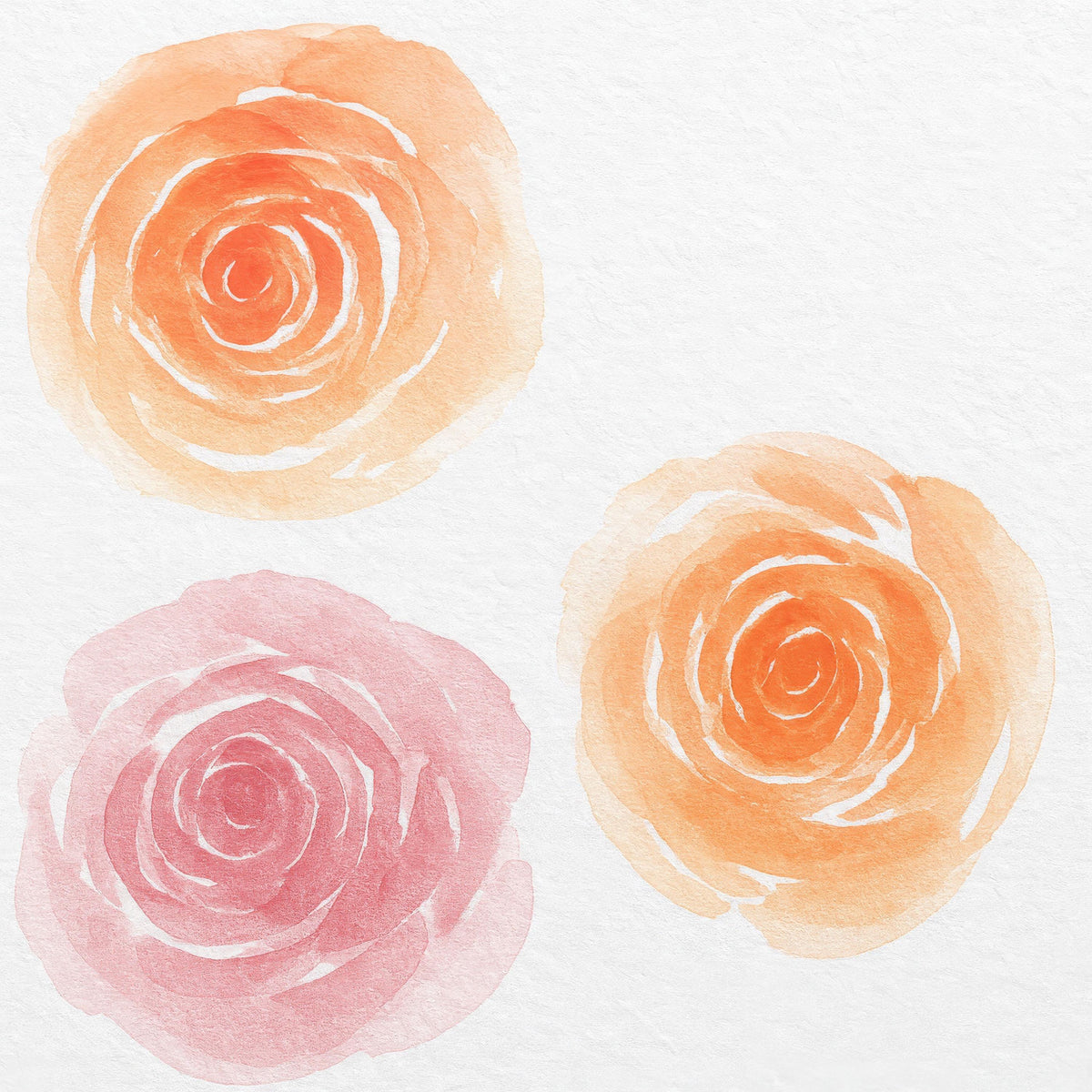 Watercolor Peony Wall Decals styled in a room setting